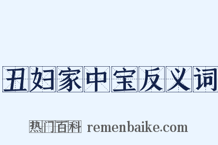 丑妇家中宝反义词是什么意思的图片